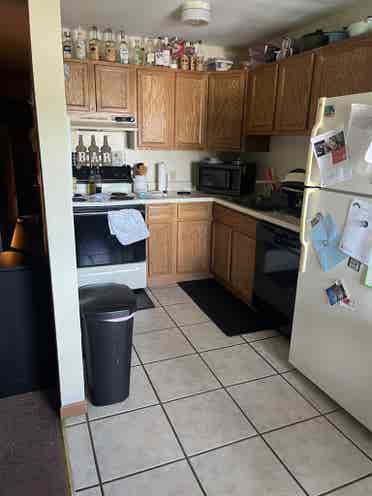 University Apartment