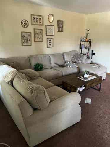University Apartment