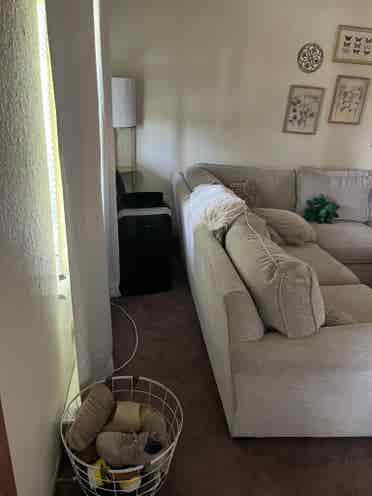 University Apartment