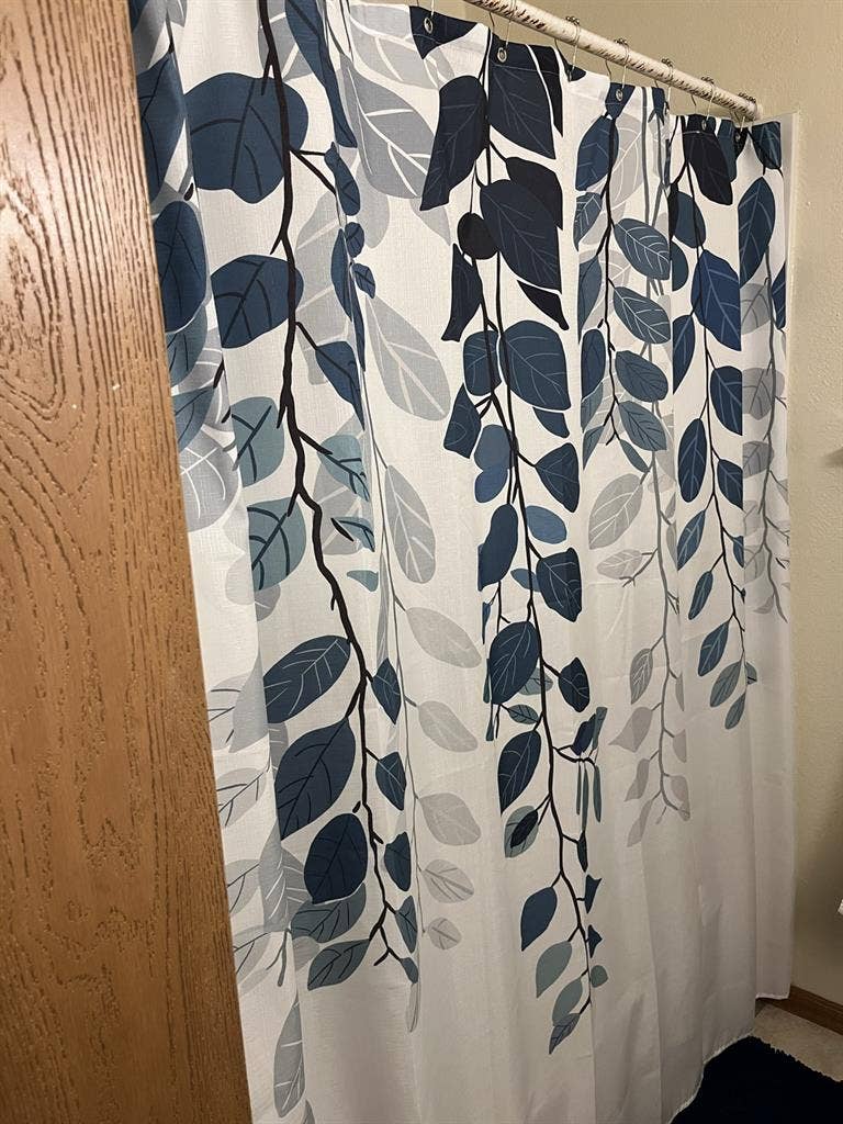 University Apartment
