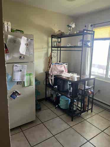 University Apartment