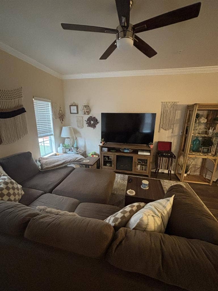 Apartment needing roommate!
