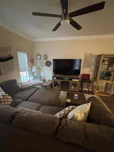 Apartment needing roommate!