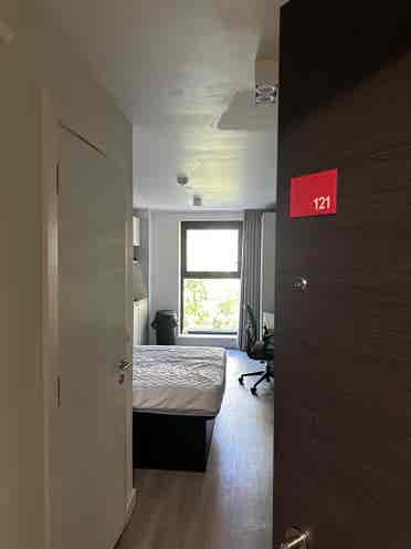 Studio | WILL OFFER DISCOUNT!