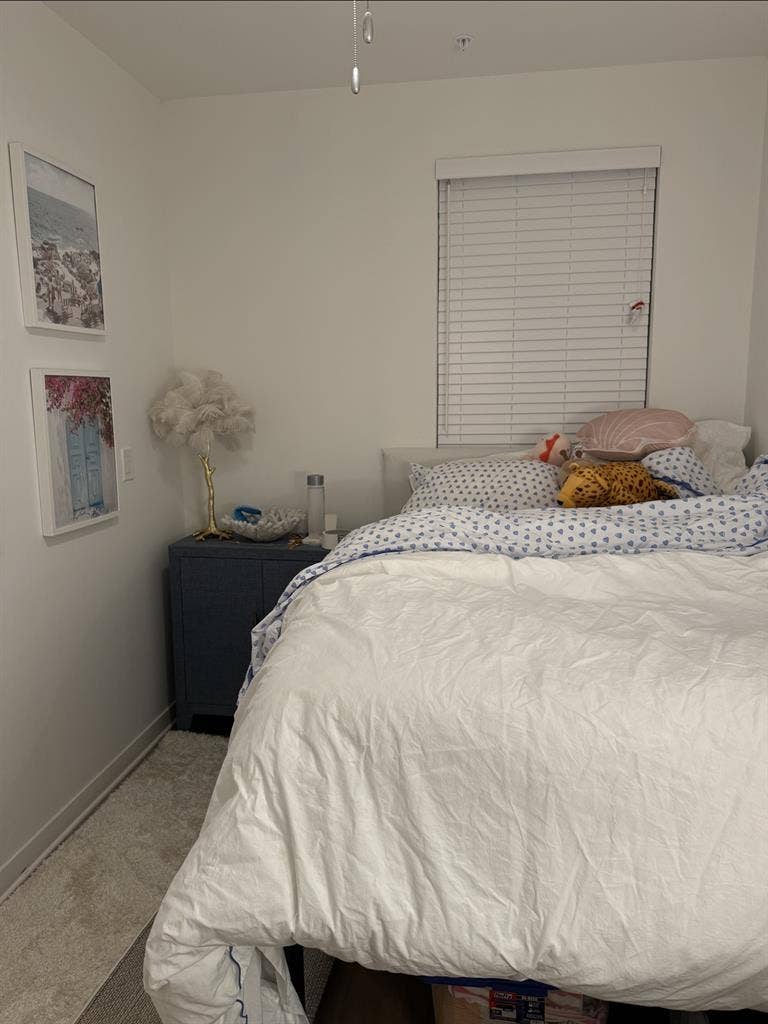Reletting Apartment