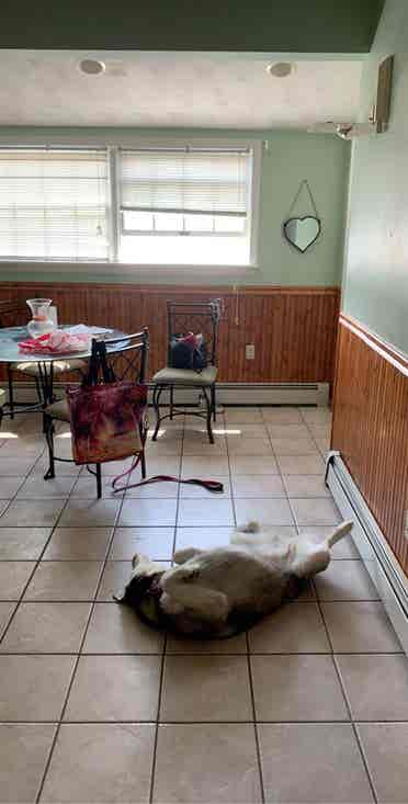 Shared 2 bedroom apartment w/ deck