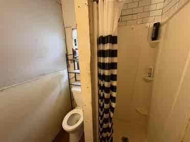 Room for rent!