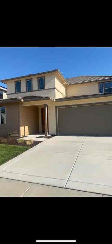Looking for Professional Roommate!