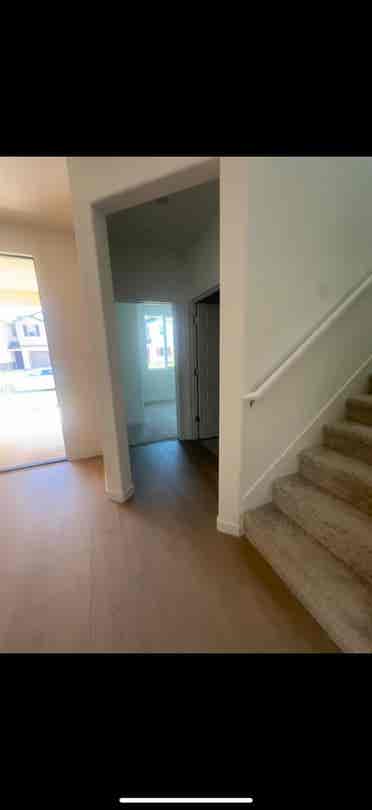 Looking for Professional Roommate!