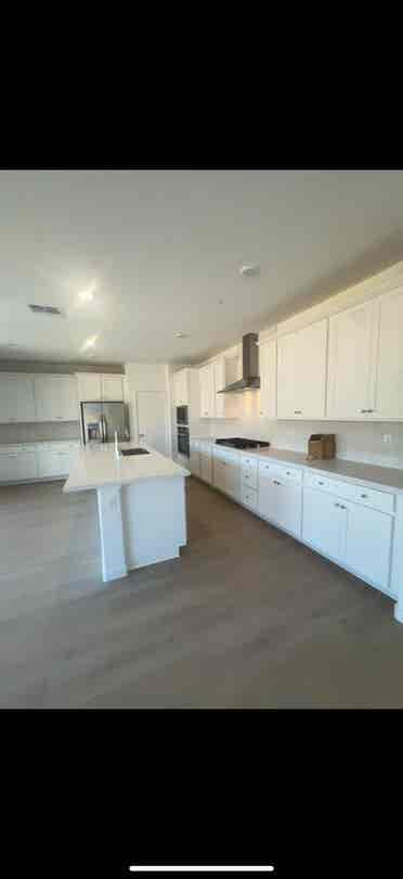 Looking for Professional Roommate!