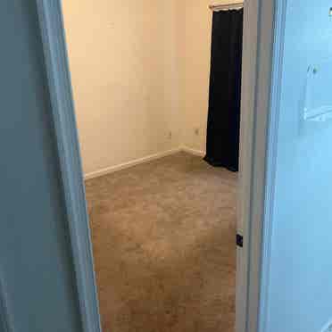 Large room w/ semi private bathroom