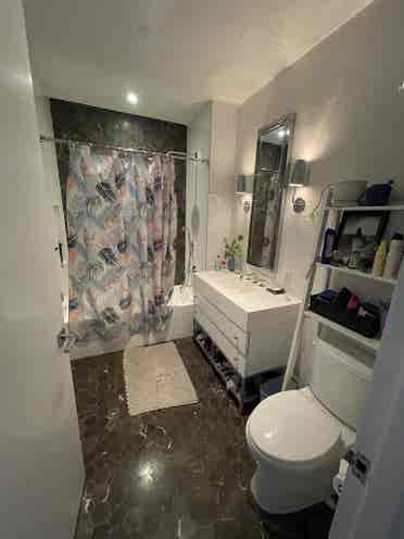 Looking for a roommate for August