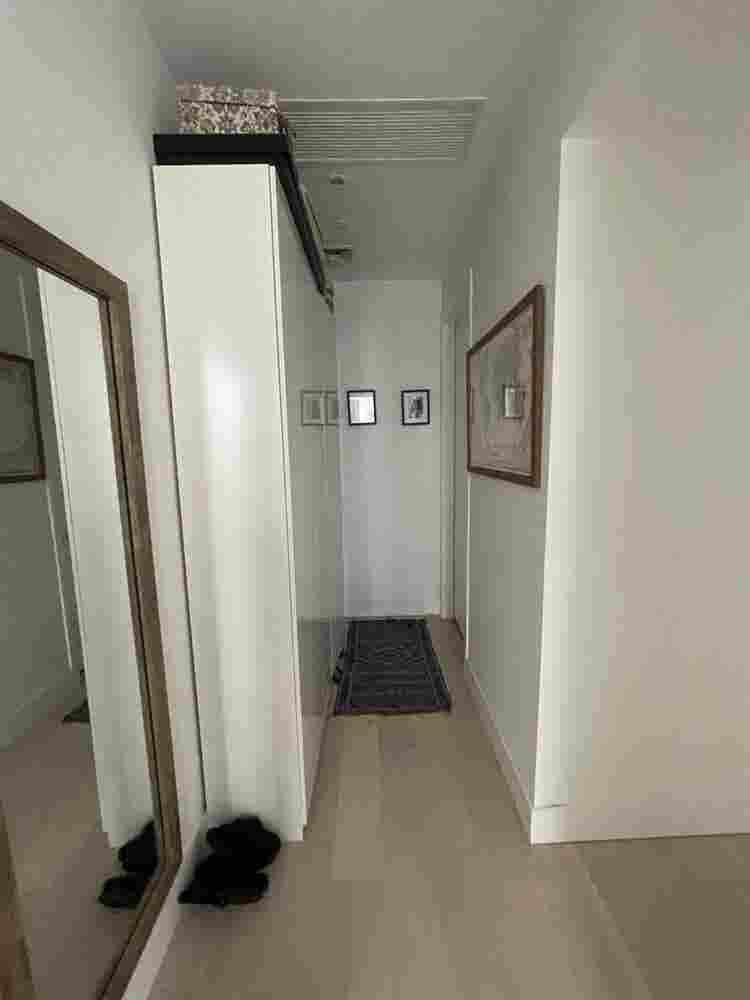 Looking for a roommate!
