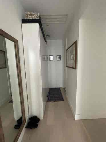 Looking for a roommate for August