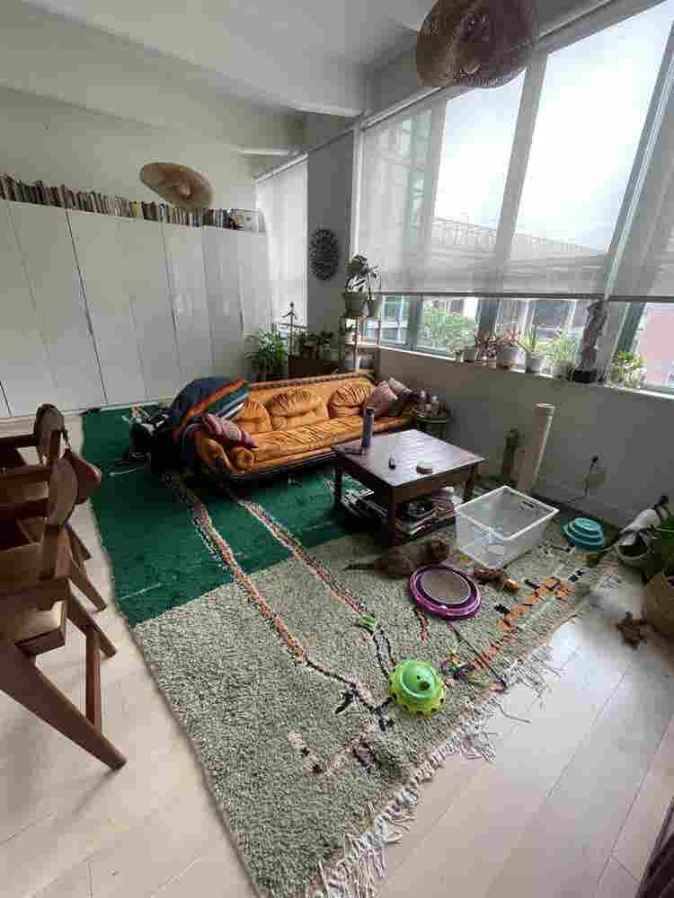 Looking for a roommate!