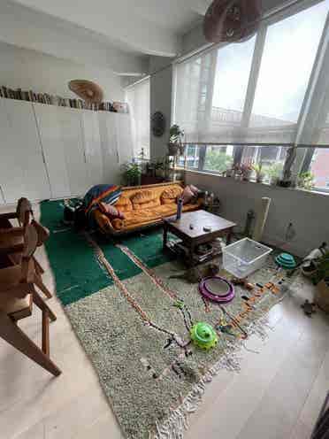 Looking for a roommate for August
