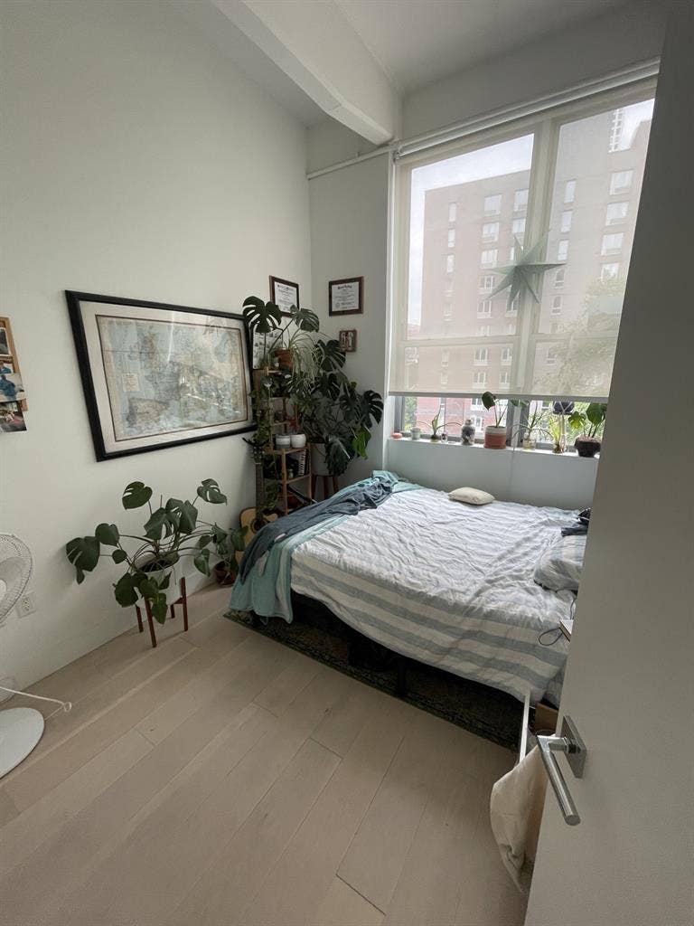 Looking for a roommate for August