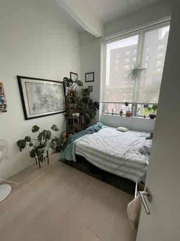 Looking for a roommate for August