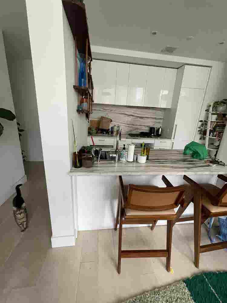 Looking for a roommate!