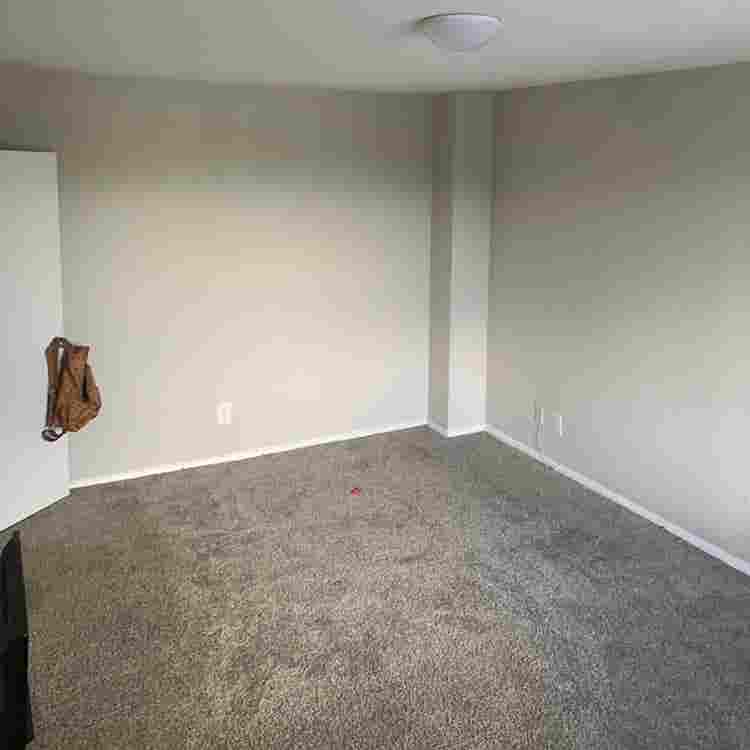 1bd room for rent text