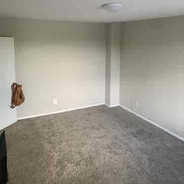 1bd room for rent