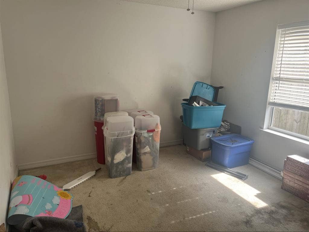 bth for rent