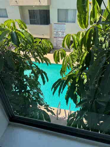 Looking 4 a girl-roomi only Encino
