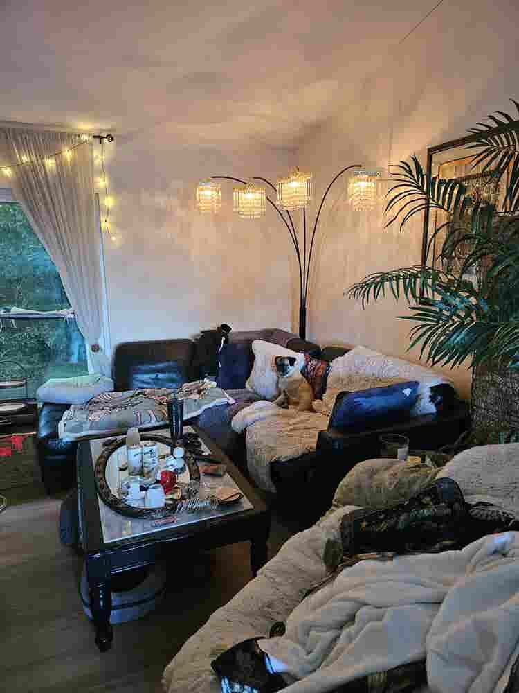 Roommate needed!