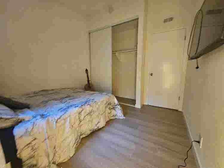Roommate needed!