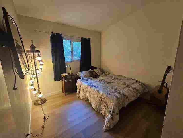 Roommate needed!