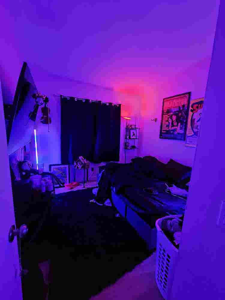 Roommate needed!