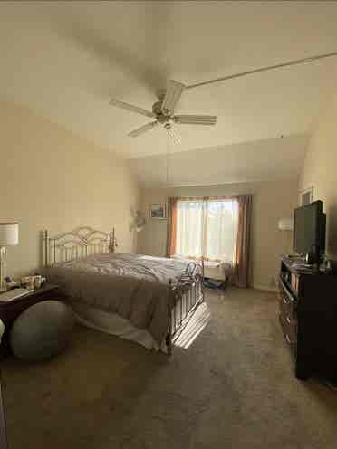Master Room for Rent