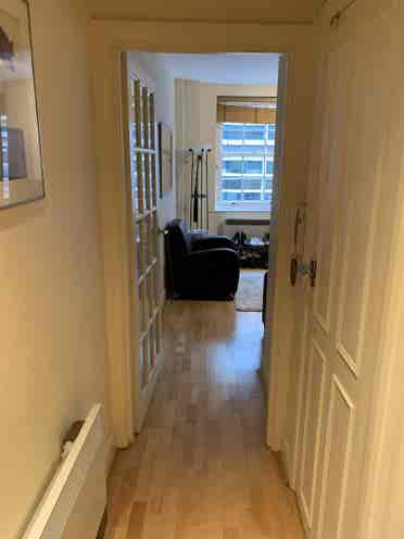 Cozy 1bedroom flat in Chancery Lane