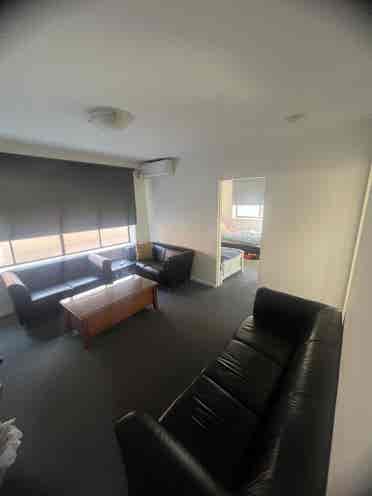 I am looking for a housemate.