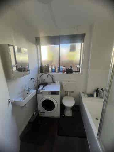 I am looking for a housemate.