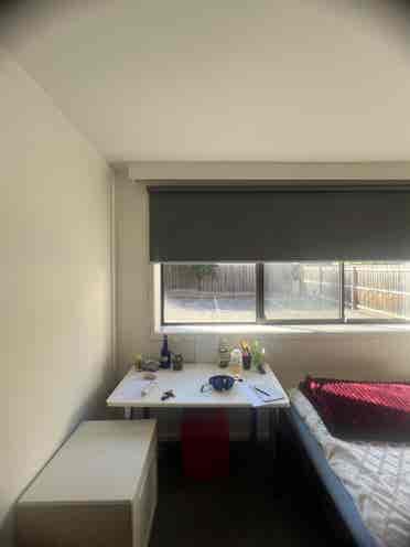 I am looking for a housemate.