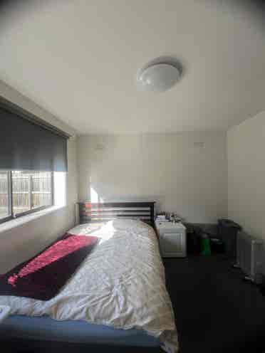I am looking for a housemate.