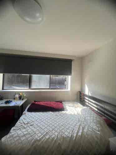 I am looking for a housemate.