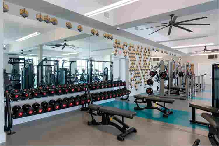 Private room for rent