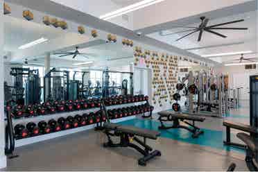 Private room for rent