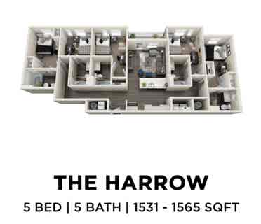 Private room for rent
