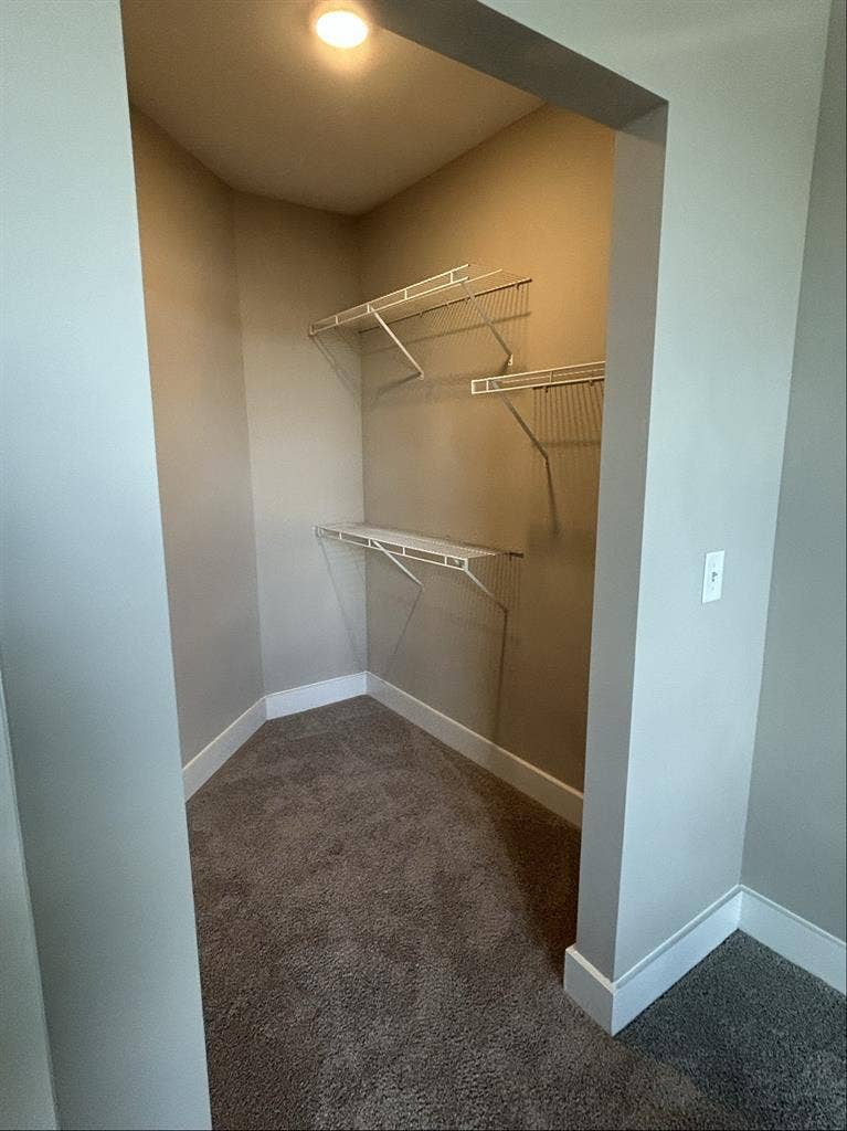 Looking for a reliable roommate