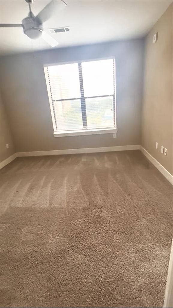Looking for a reliable roommate