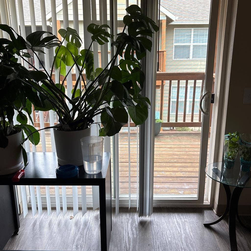 One bedroom with private bathroom