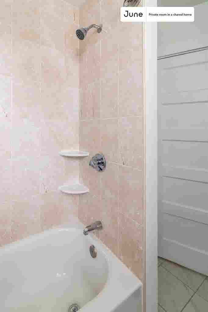 7 BR in Boston