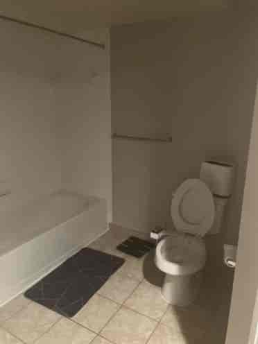Looking for a roommate