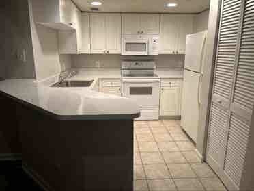 Looking for a roommate