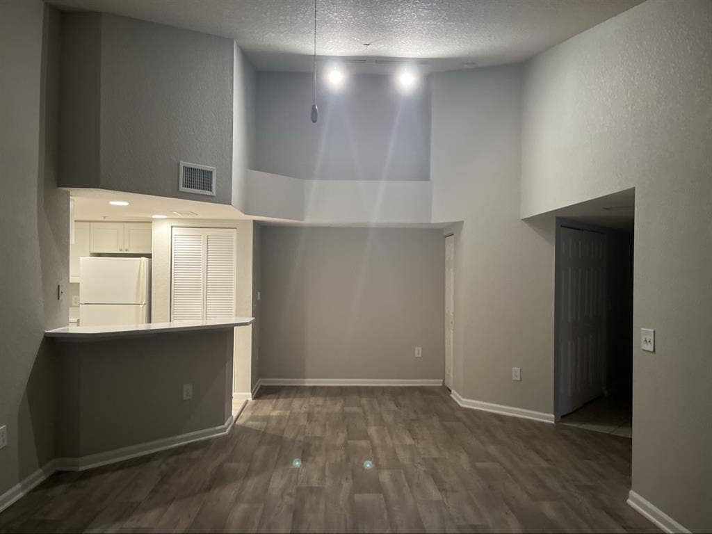 Looking for a roommate