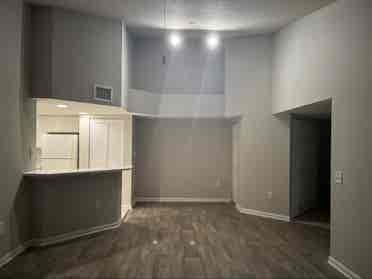 Looking for a roommate
