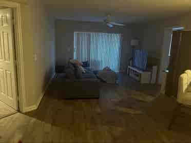 Looking for a roommate